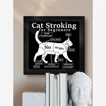 Cat Stroking For Beginners Framed Print